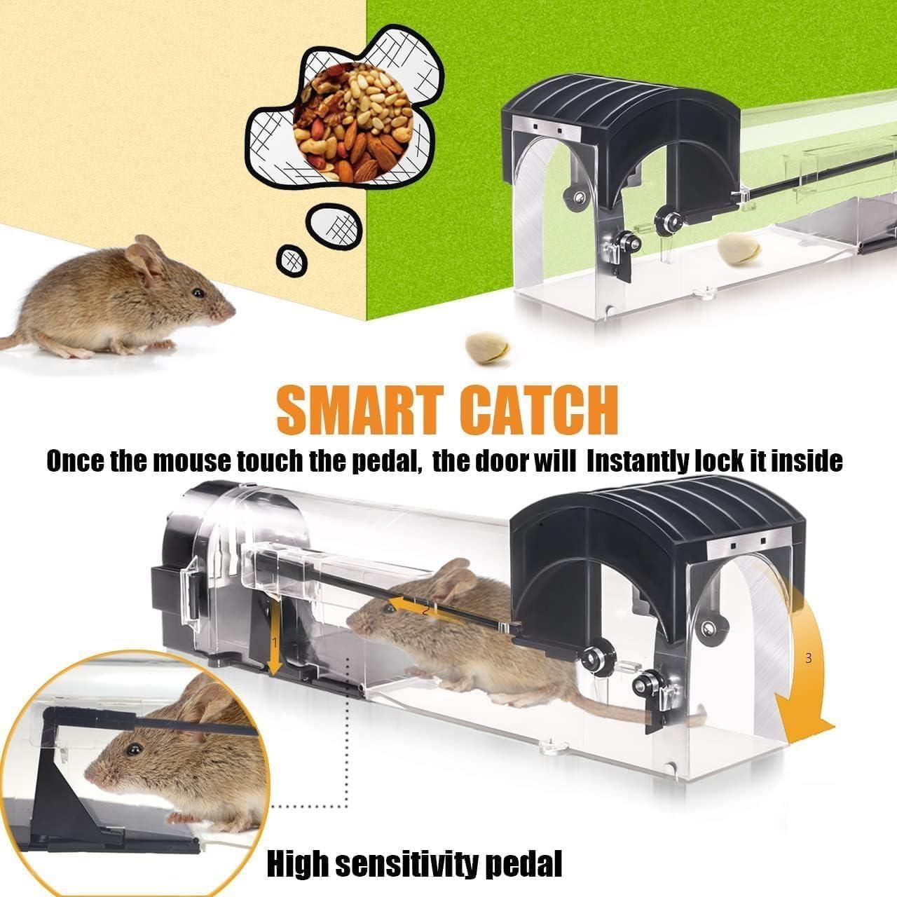 Rat Cage